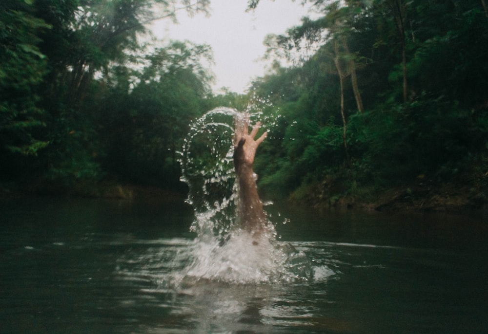 human hand in body of water during daytime