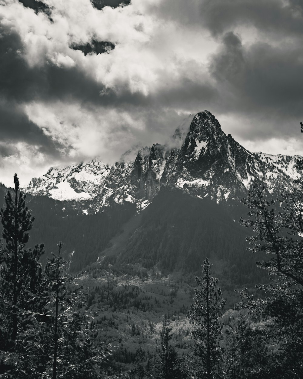 Foto en escala de grises de la montaña