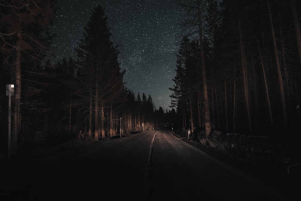 500+ Night Road Pictures [HD] | Download Free Images on Unsplash