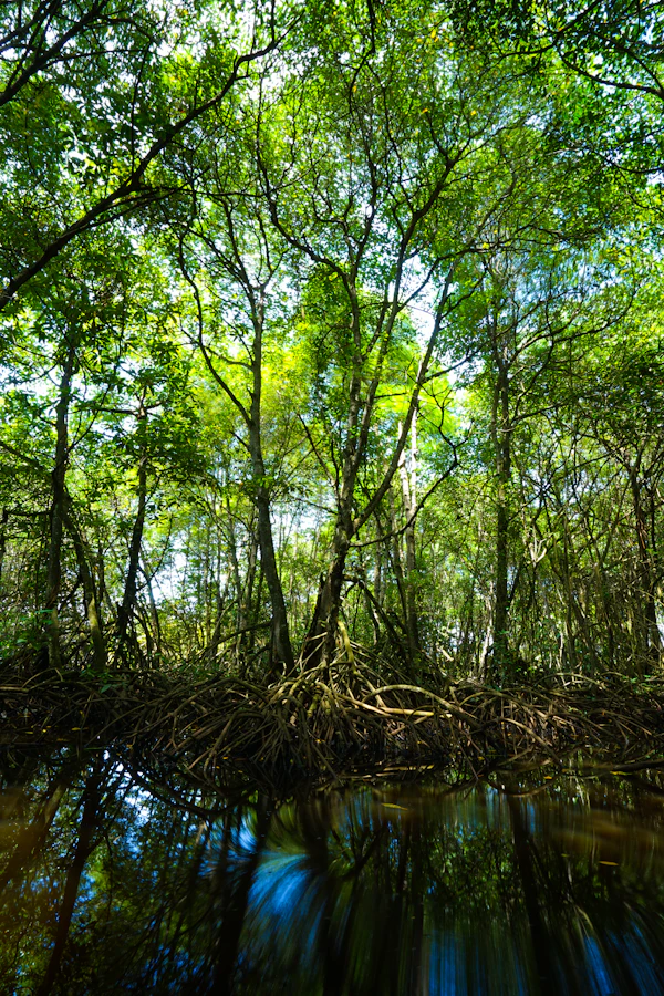 Naturalist scanning the bank