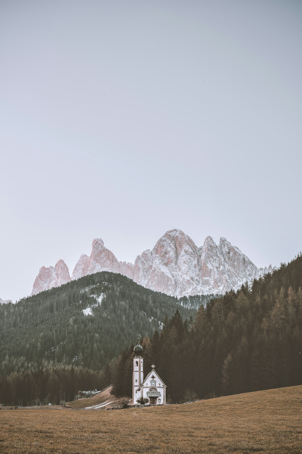 photography of white church beside pine trees during daytime