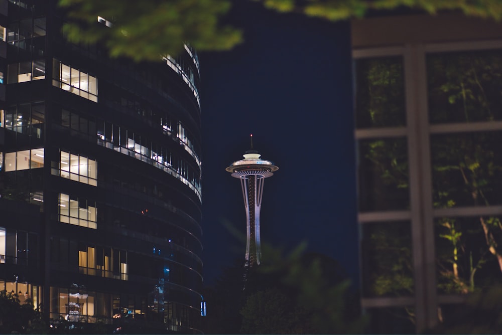 photography of Space Needle during nighttime