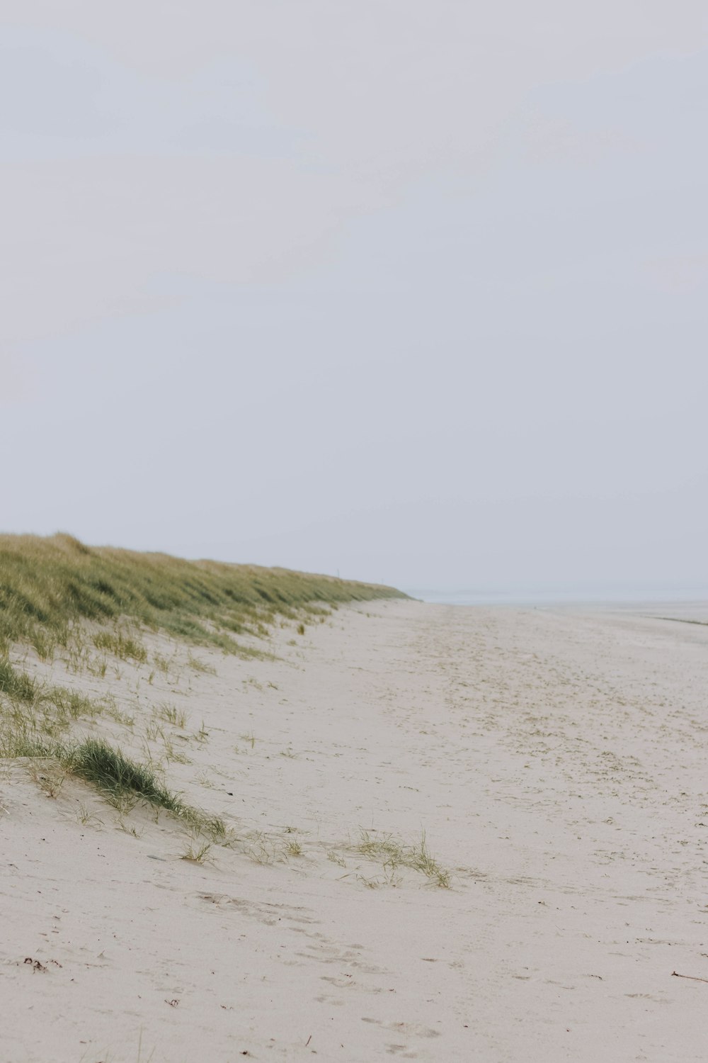 green grass and white sand