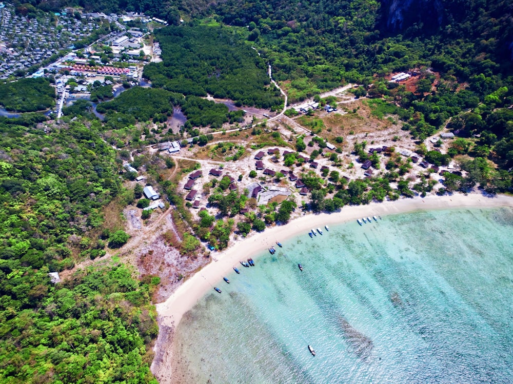 aerial view photo of beach