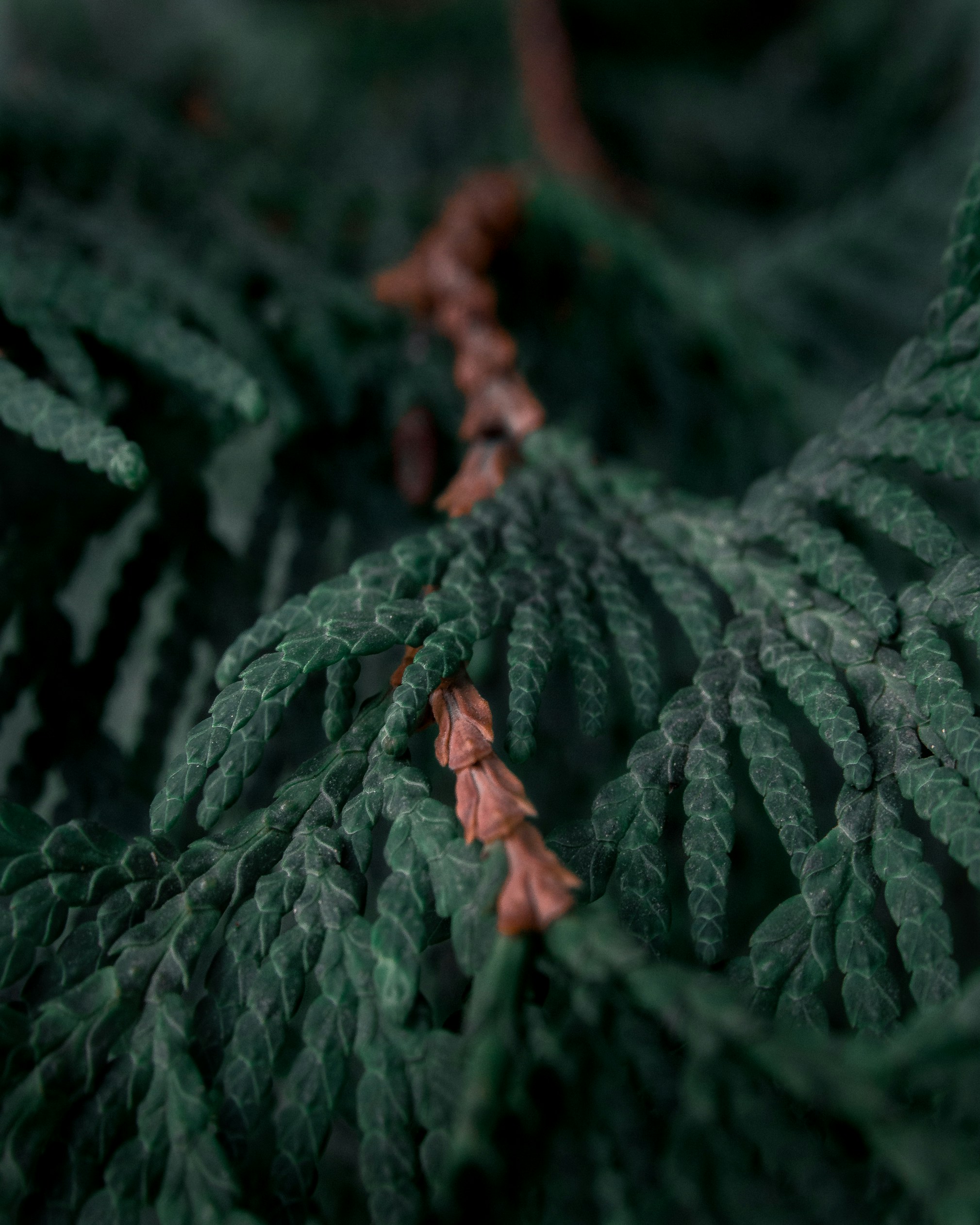 Photo by kirillpershin