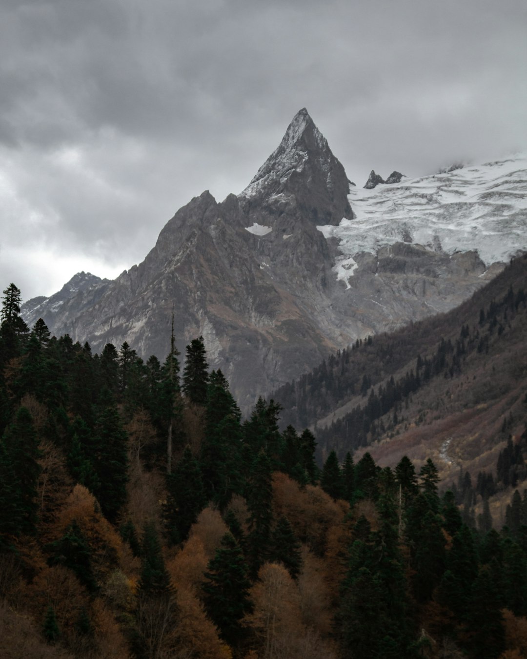 photography of snow-capped mountain and pine trees during daytime