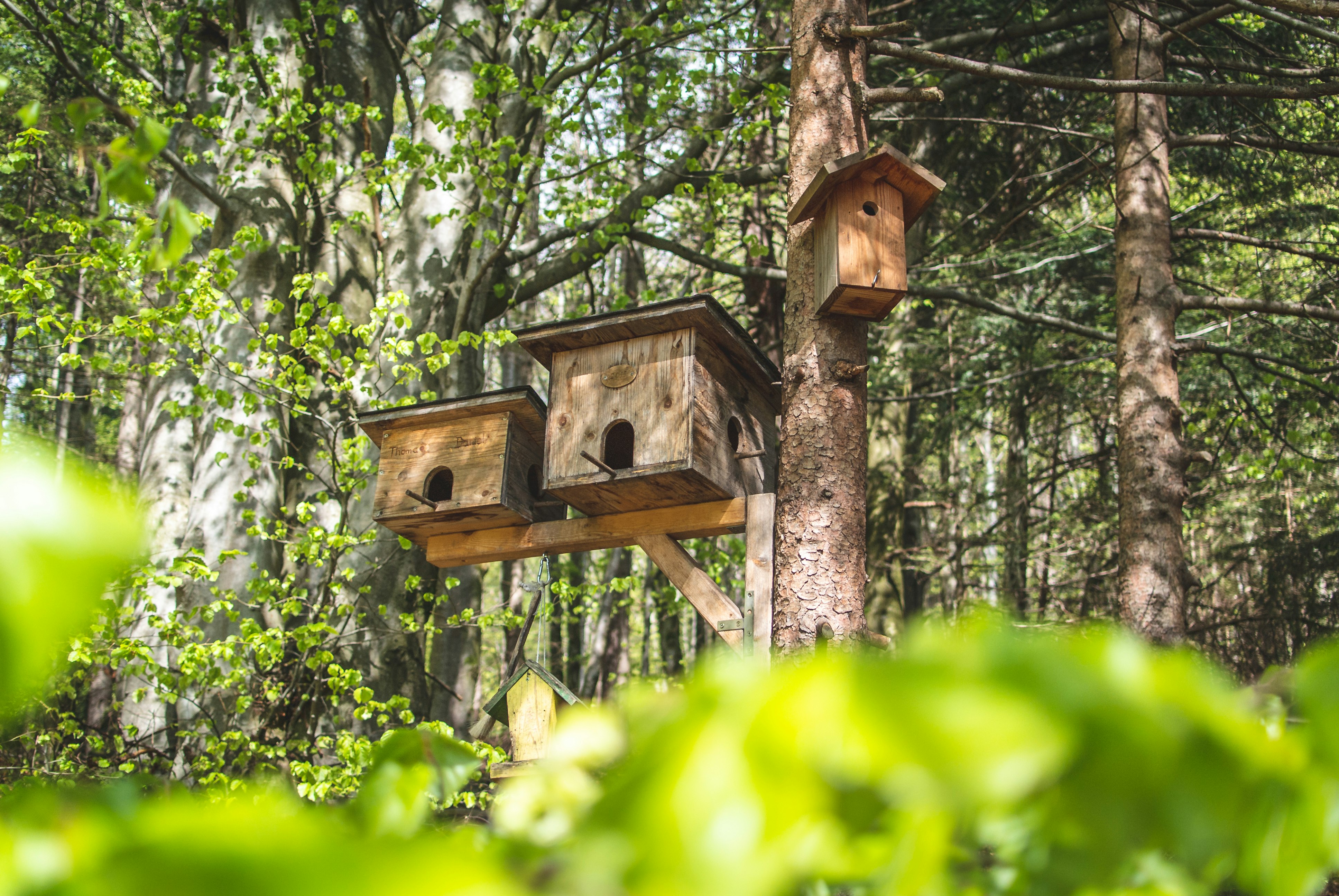 three brown wooden birdhouses on a tree