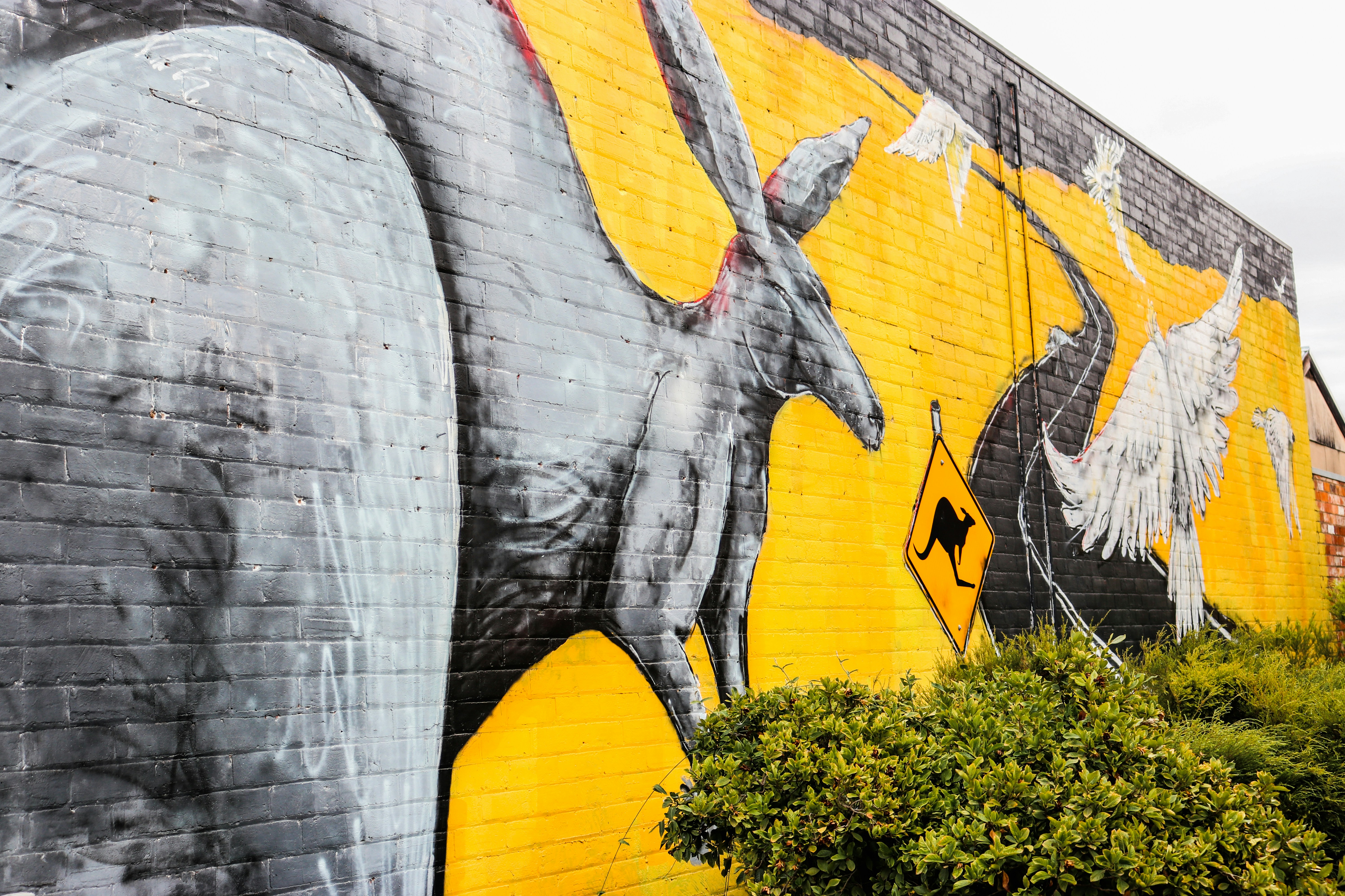 Australia Travel Guide