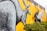 A vibrant mural on a brick wall depicts a large gray kangaroo and birds in flight against an expressive yellow background. A black road curves through the scene with a yellow road sign that has a kangaroo silhouette. Greenery is visible at the base of the wall.