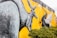 A vibrant mural on a brick wall depicts a large gray kangaroo and birds in flight against an expressive yellow background. A black road curves through the scene with a yellow road sign that has a kangaroo silhouette. Greenery is visible at the base of the wall.