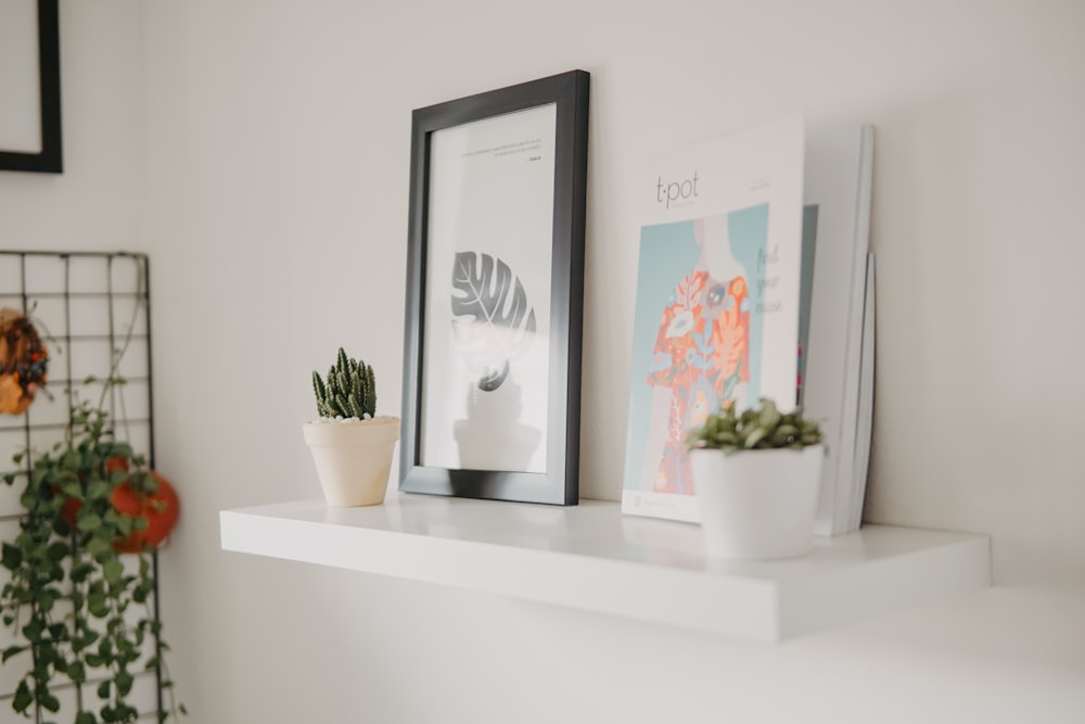 green leafed plant in pot on floating shelf