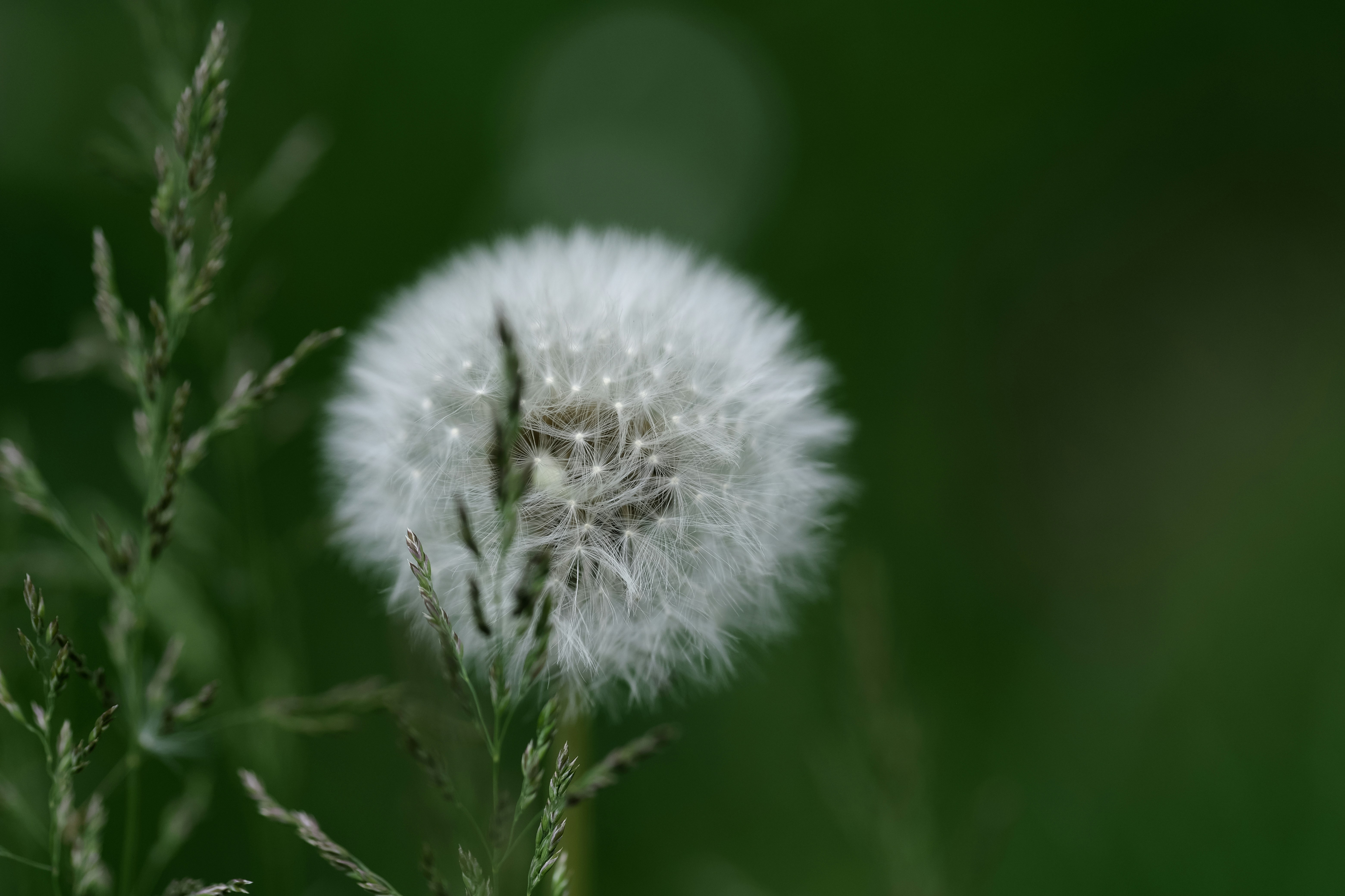 Photo by kevinmueller