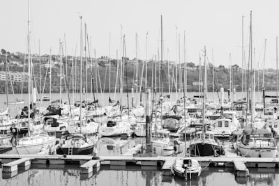 A marina filled with numerous sailboats and yachts, all anchored at their docks. Tall masts rise into the sky, creating a network of lines against the horizon. In the background, residential buildings and a tree-covered hill are visible across the water.