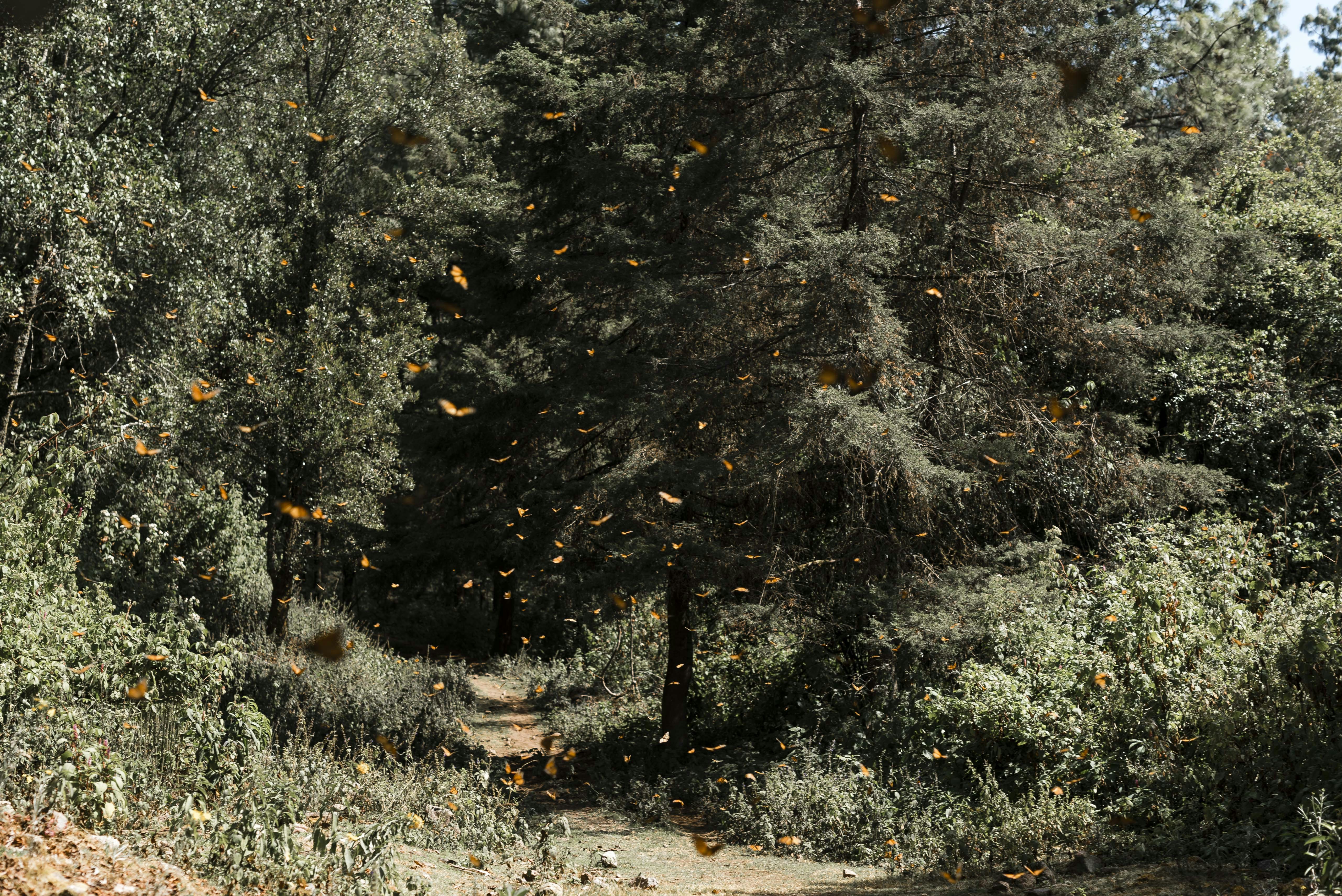 Photo by hannahcauhepe