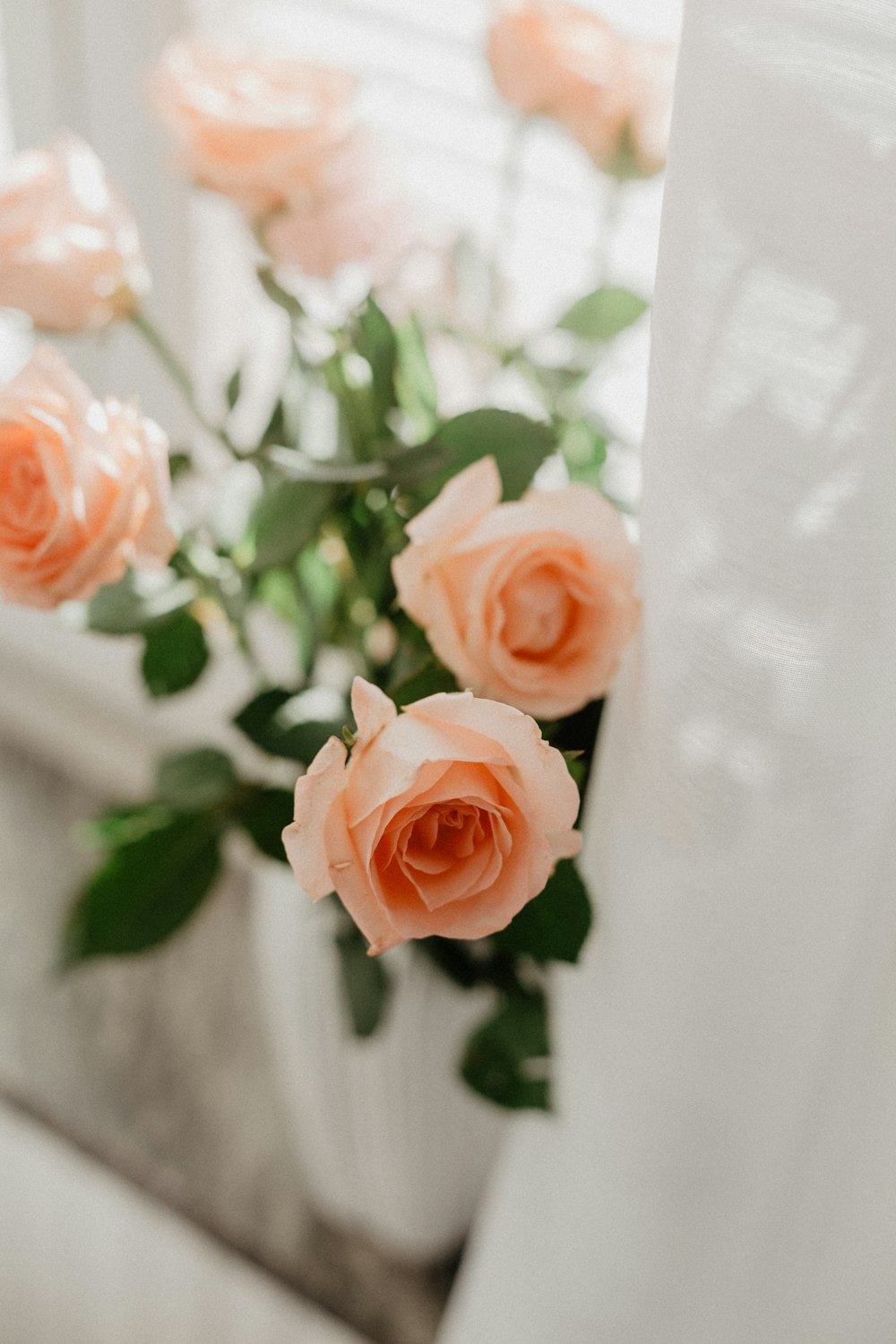 un vase rempli de roses roses assis sur le rebord d’une fenêtre