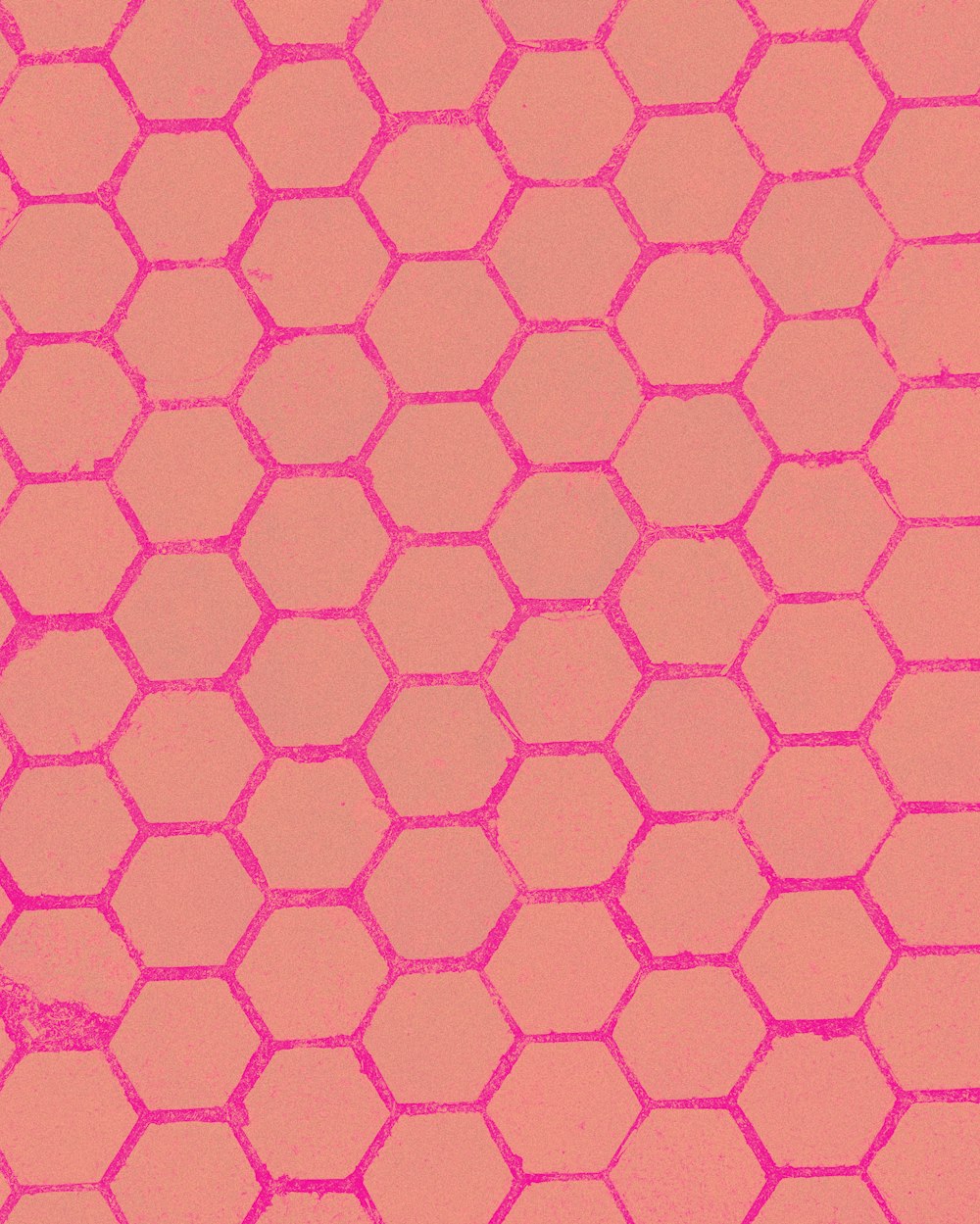 pink illustration