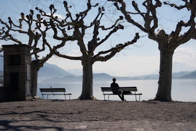 A peaceful lakeside scene with a person sitting quietly, embracing mindfulness.