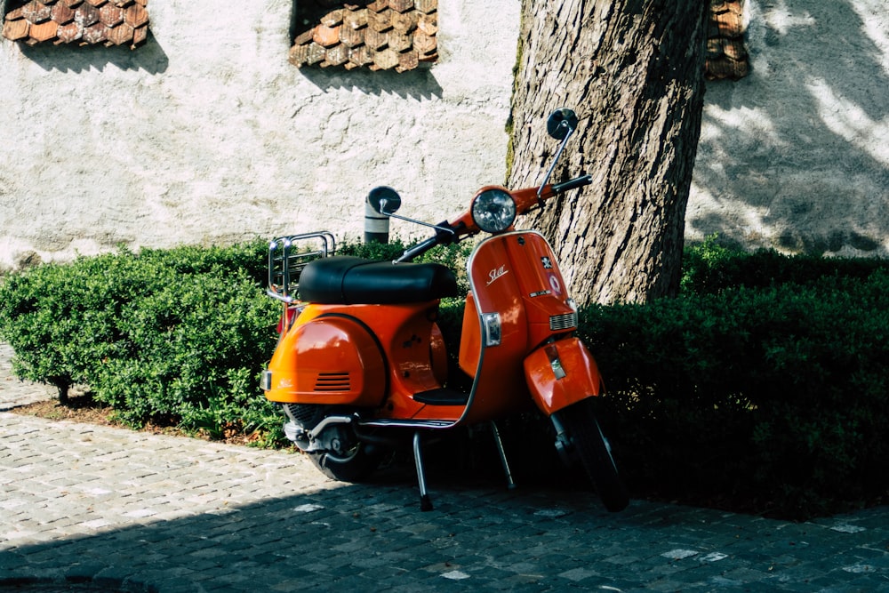 orange motor scooter