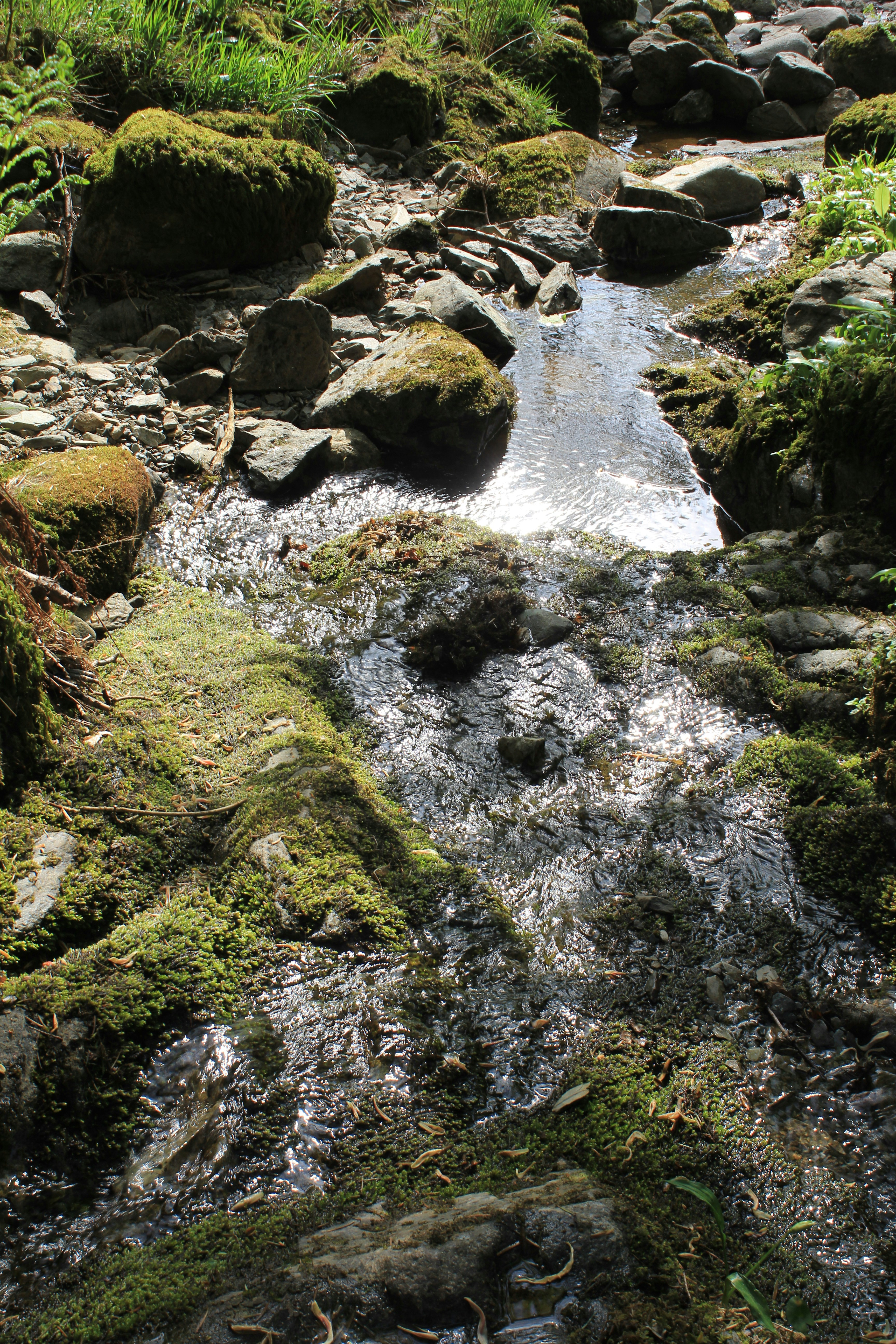 Photo by laurengriffiths