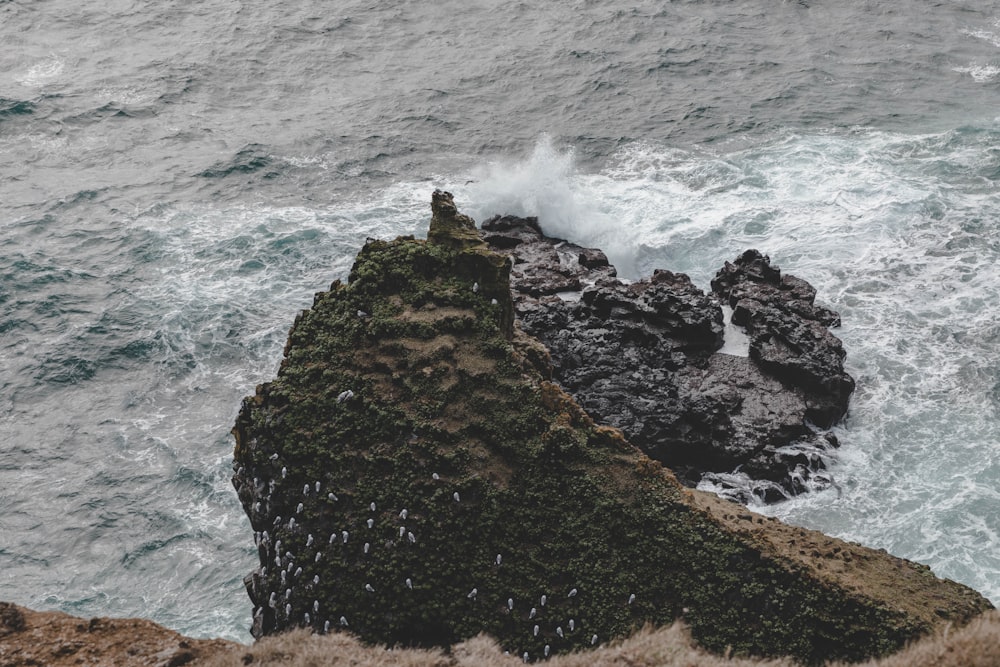 rocks near ocean