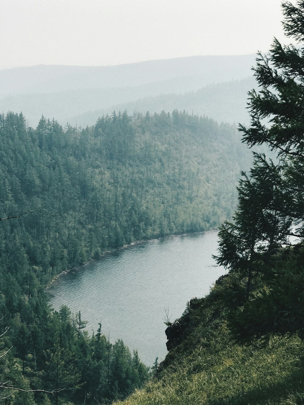 birds eye photography of body of water