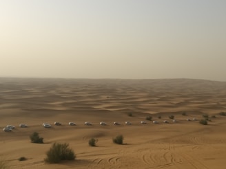 A long line of white SUVs drives through expansive desert sand dunes under a hazy sky. Sparse shrubs are scattered throughout the terrain, and vehicle tracks are visible in the sand.