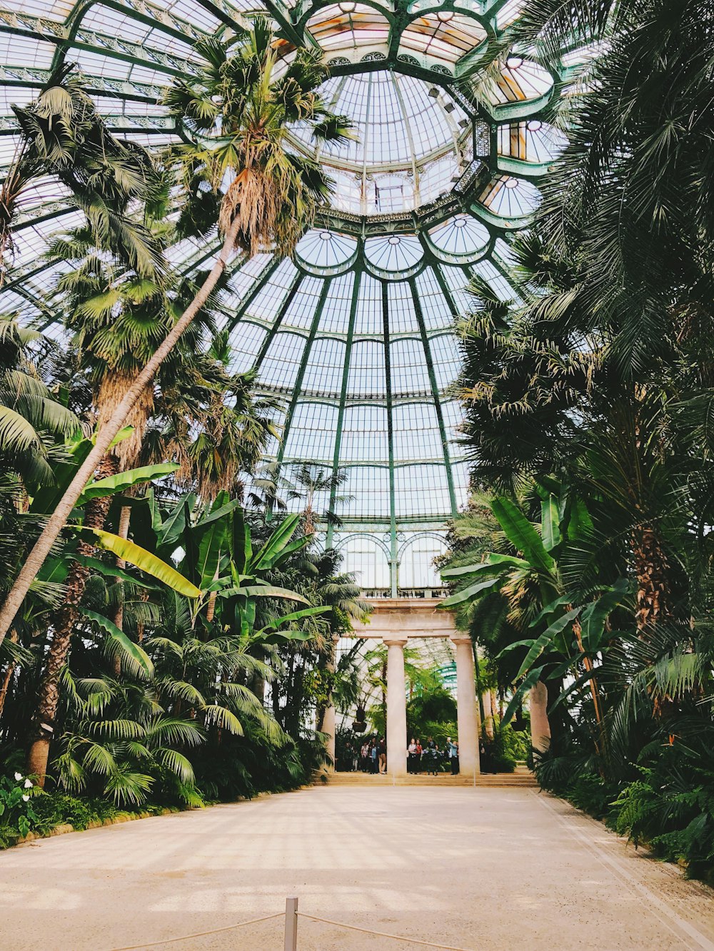 trees inside a building during daytime