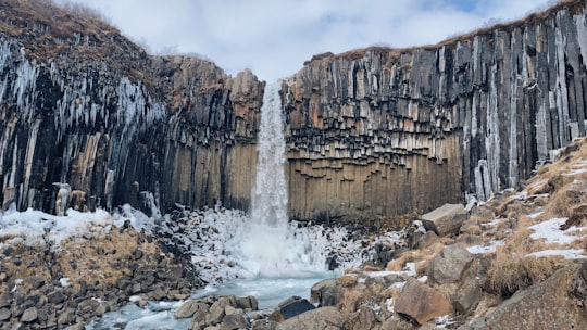 Svartifoss things to do in Hof, Iceland