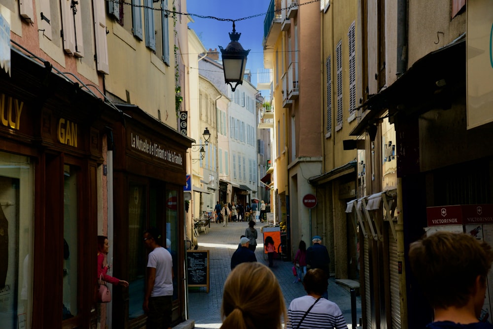 people walking on pathway