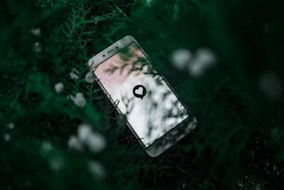 White Android smartphone near green plant