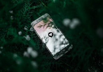 white Android smartphone near green plant