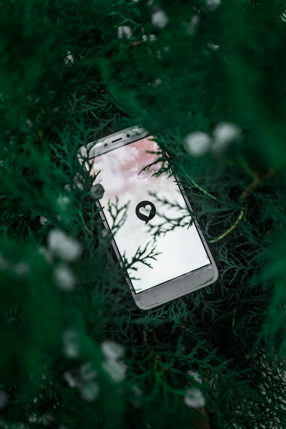 white smartphone on green grass