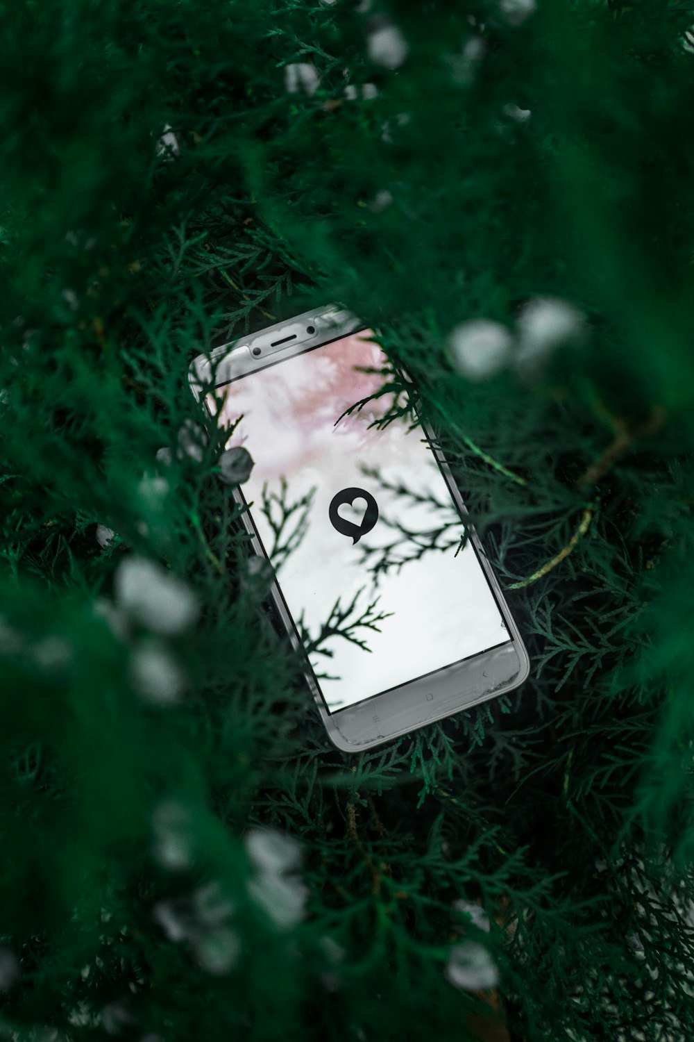 weißes Smartphone auf grünem Gras