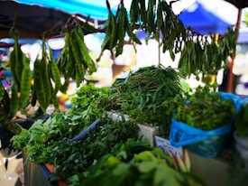 A market stall displaying a variety of fresh green vegetables and herbs. Long pods hang from the top, while bundles of leafy greens are stacked on the table below. The background features blurred market stalls under blue tents.