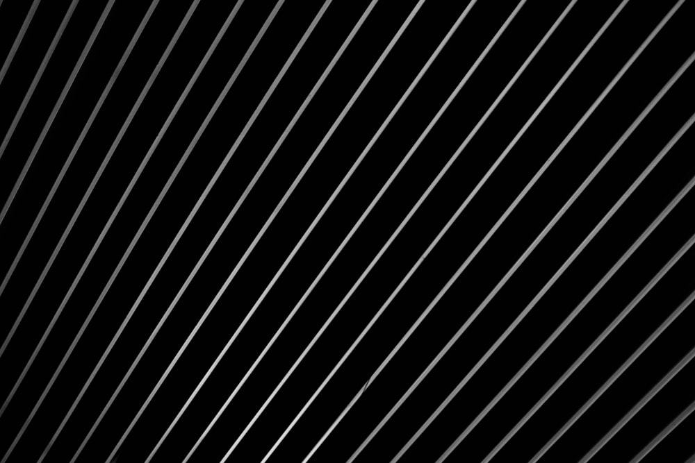 white and black pinstripe illustration
