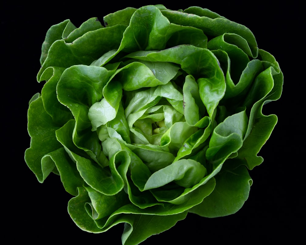 verdura di cavolo verde