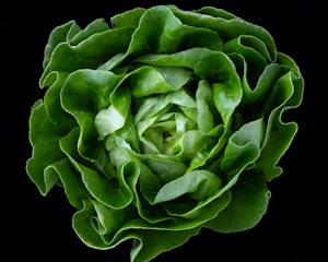 Bama Isbergsalat 1stk