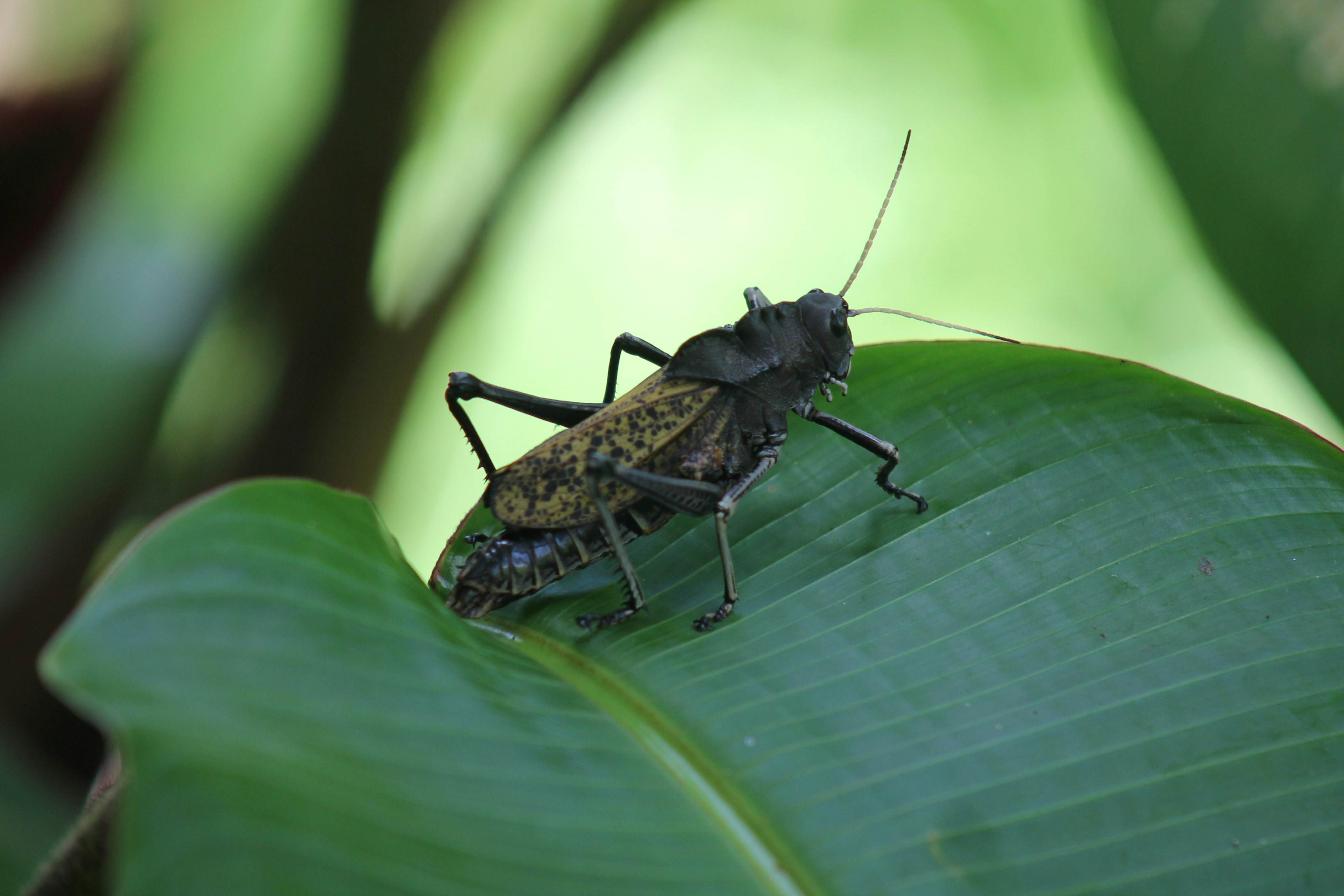 photo 1556802258 bc43cf06de48?ixlib=rb 4.0