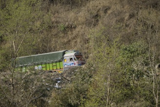 A colorful truck with intricate designs is partially hidden on a narrow road surrounded by dense foliage in a mountainous region. The truck is covered with a green tarpaulin, indicating it is transporting goods.