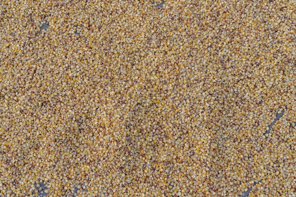 a close up view of a carpet with yellow and brown speckles