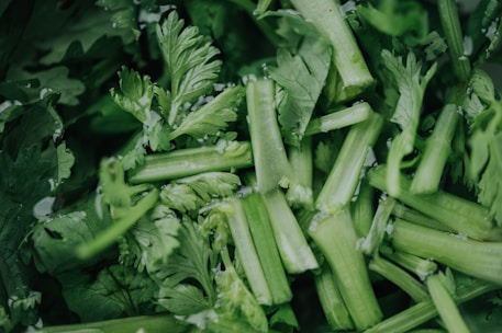 Close-up of fresh grass jelly leaves being carefully inspected in a bright, modern processing facility.