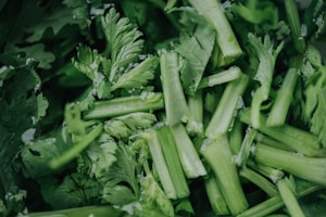 Moringa Powder