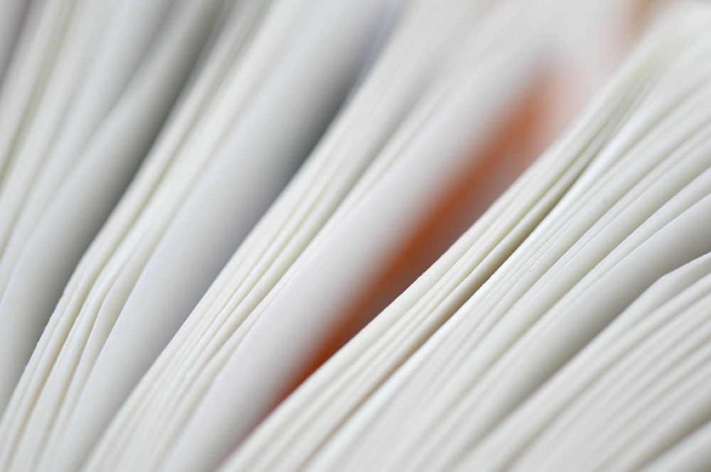 a close up of a book with white pages