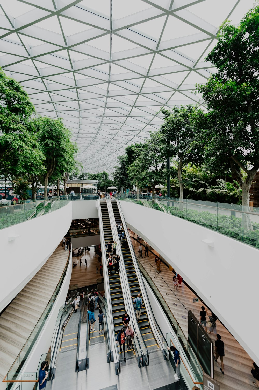 people on escalator inside building