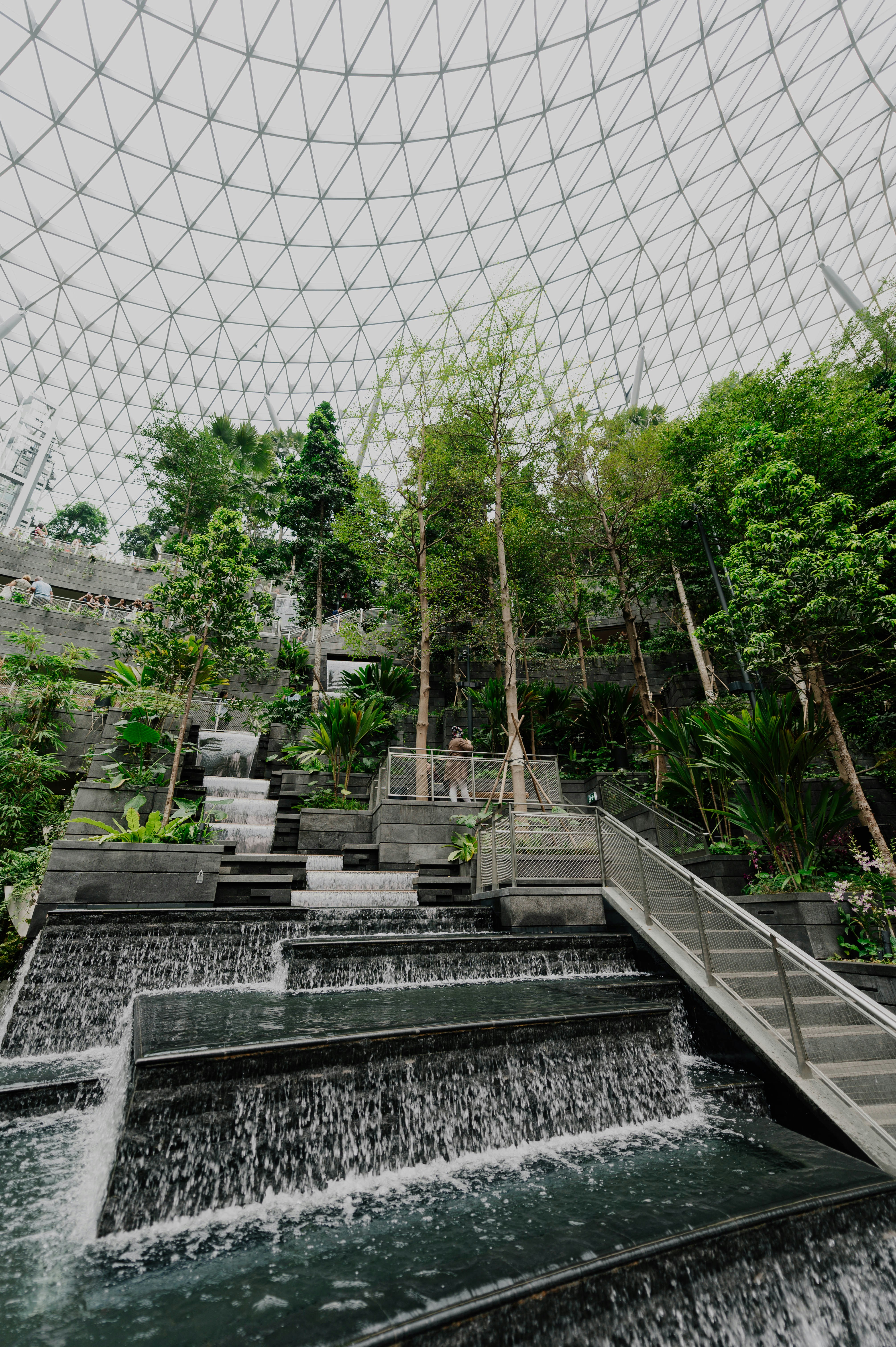 Photo by chuttersnap