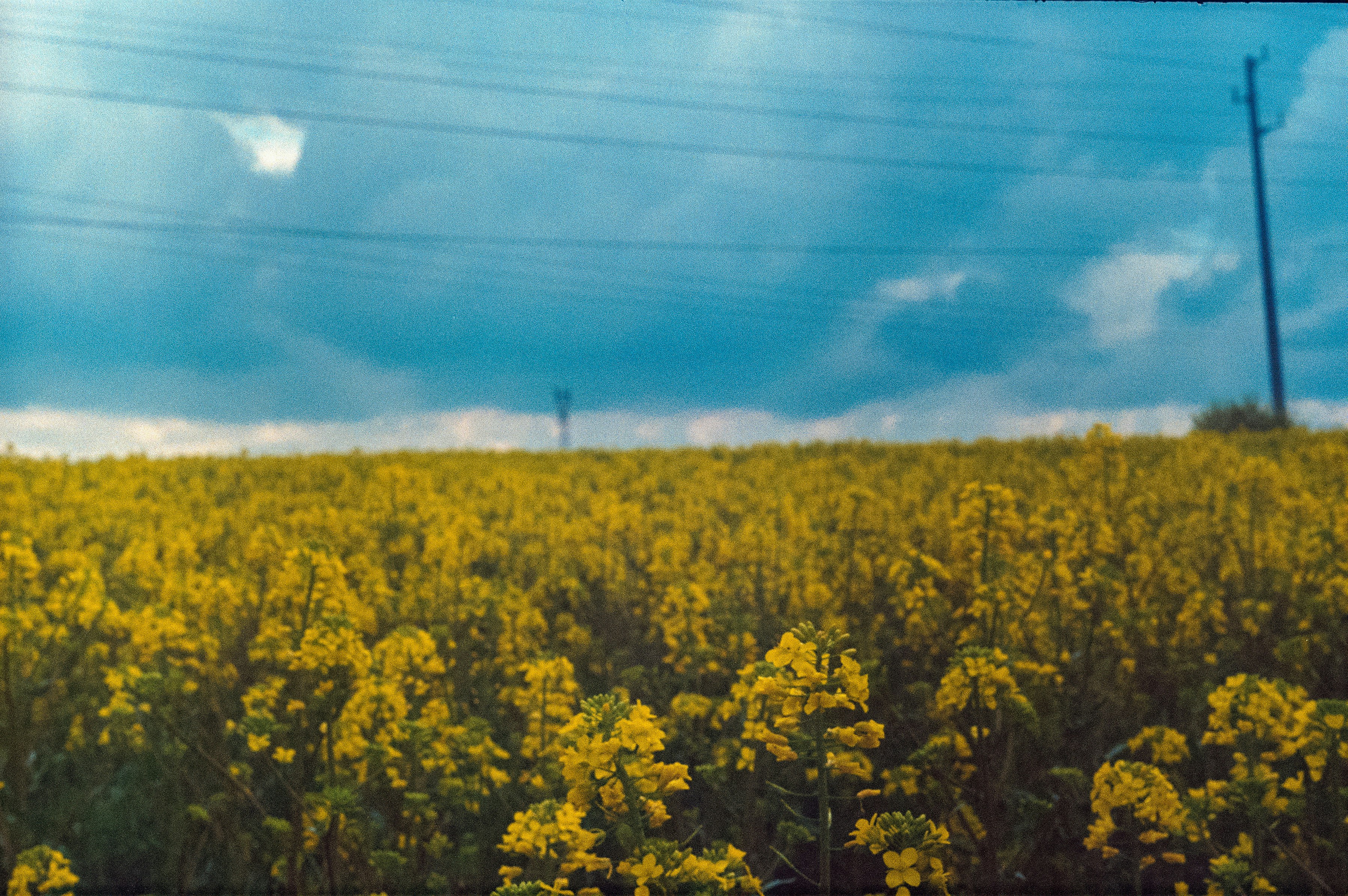 Photo by viktor_d