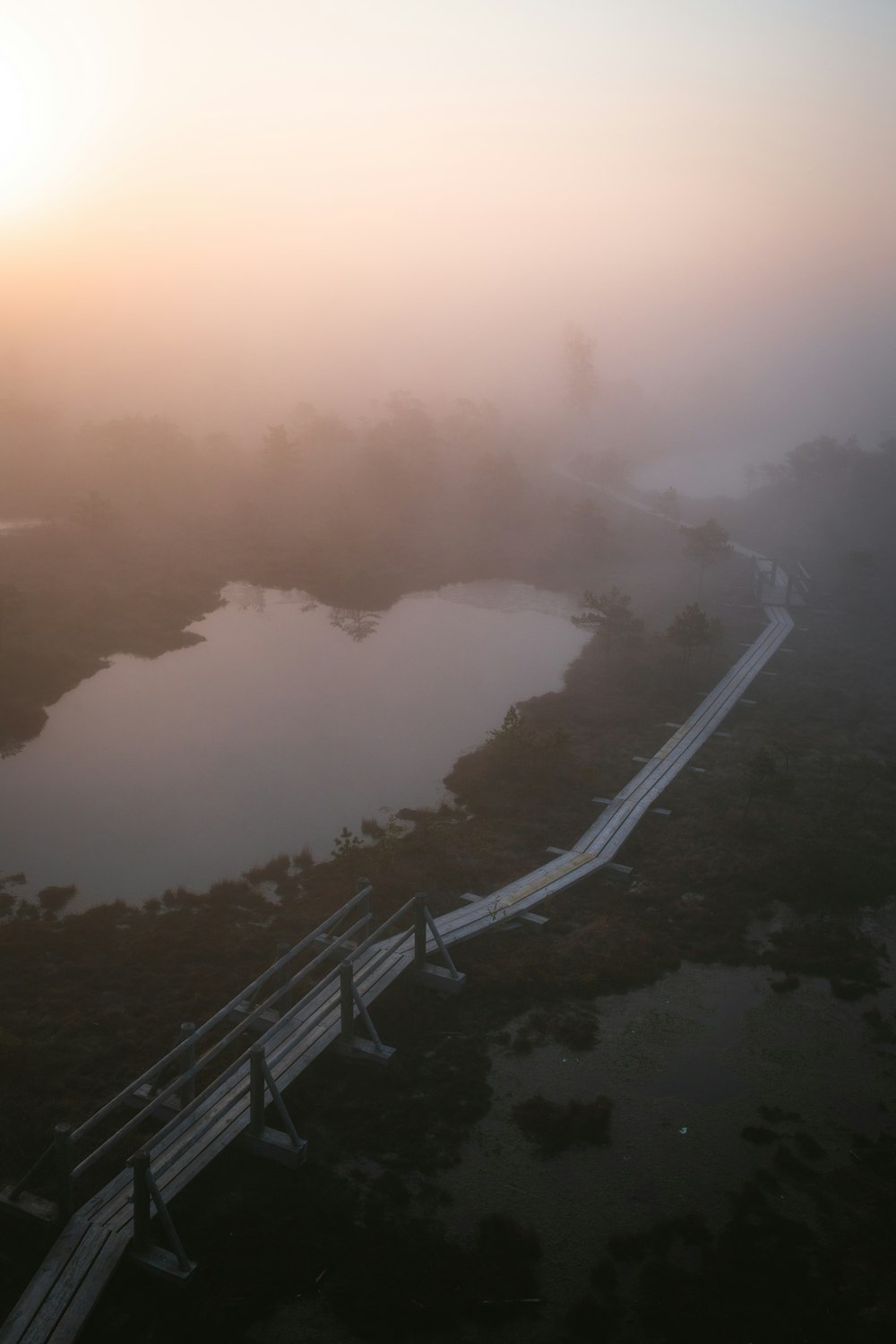 aerial photography of road