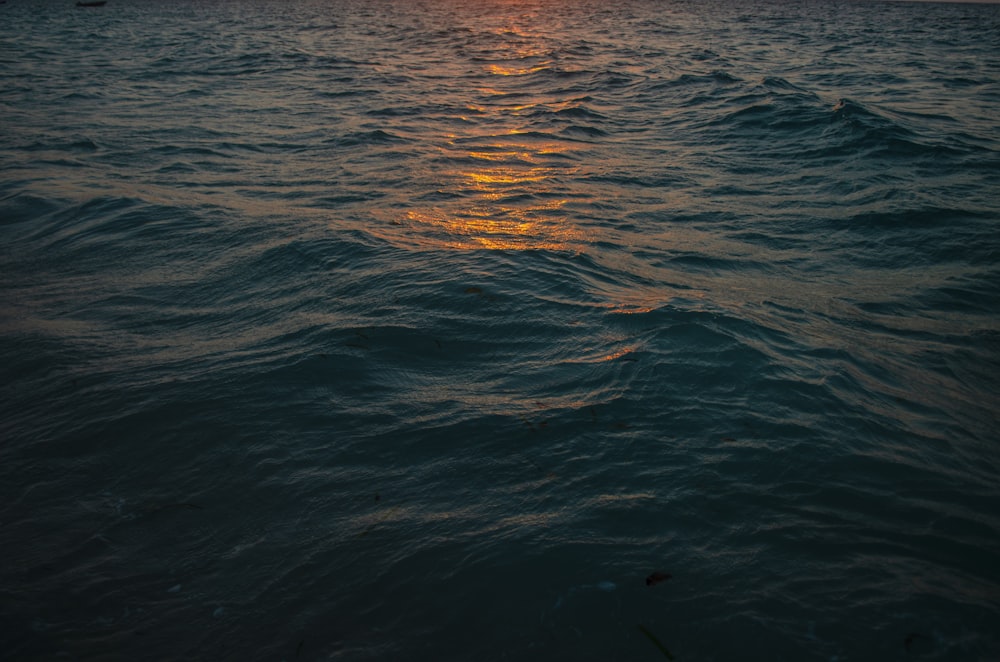 body of water during sunset