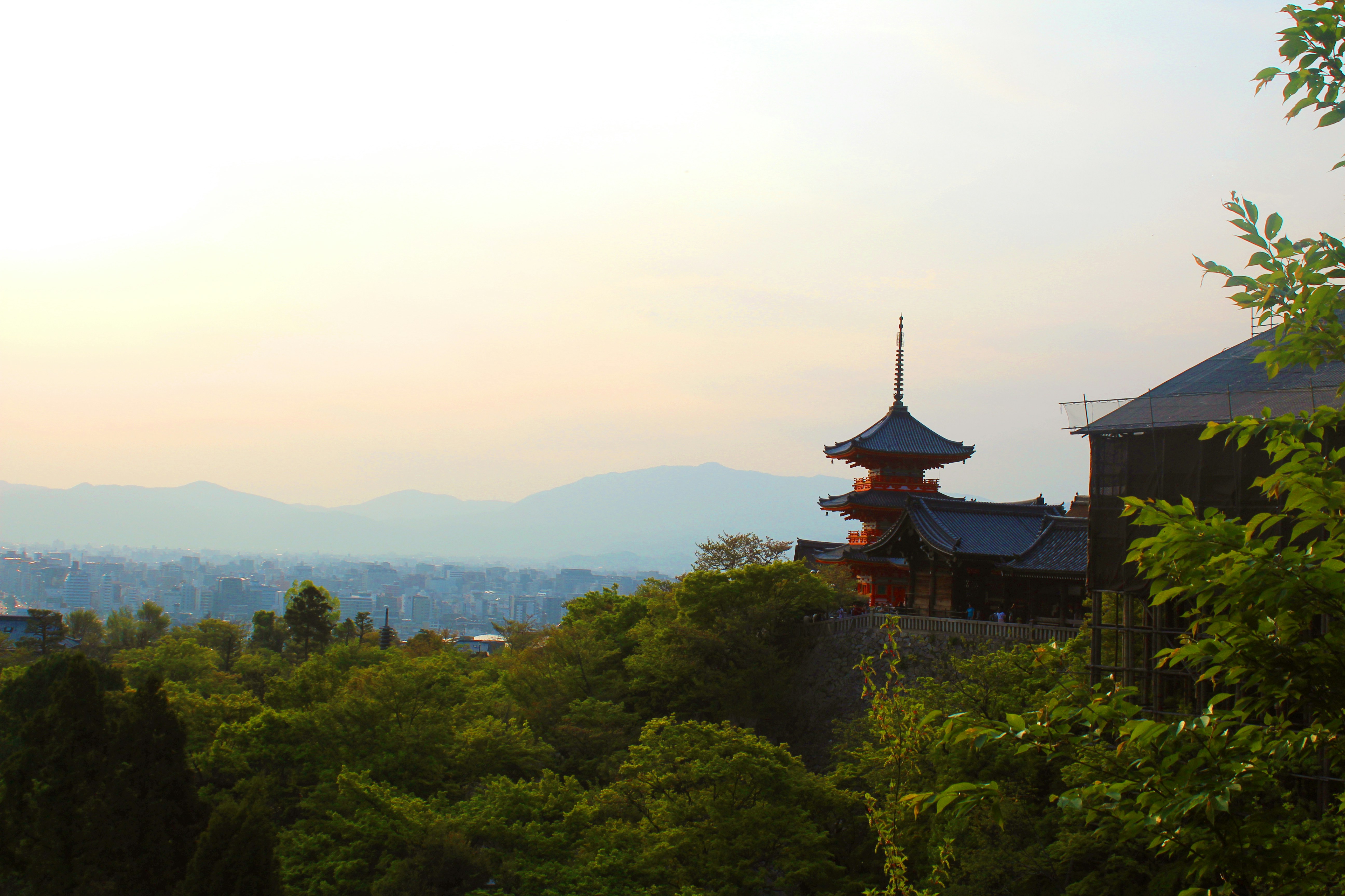 Photo by alexyadarkness