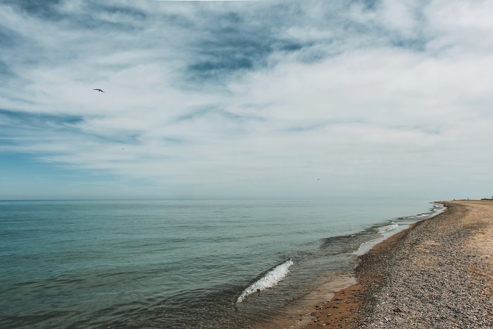 beach during daytime